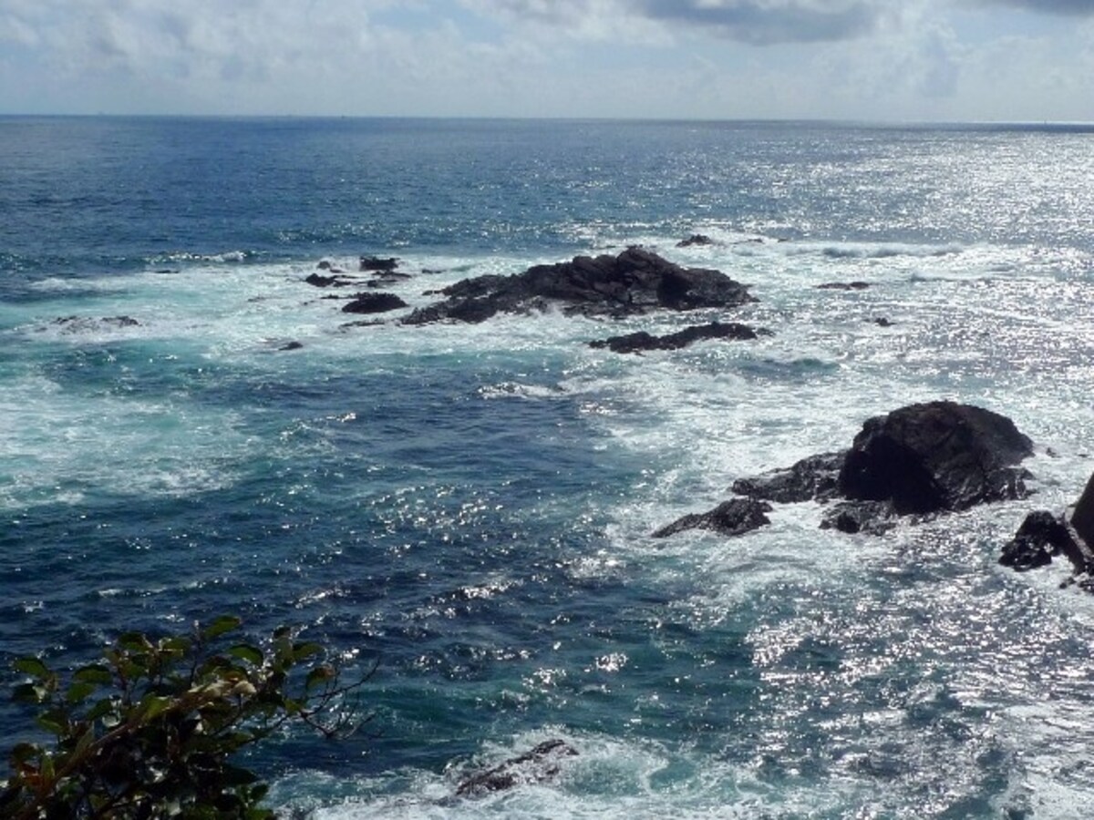 海