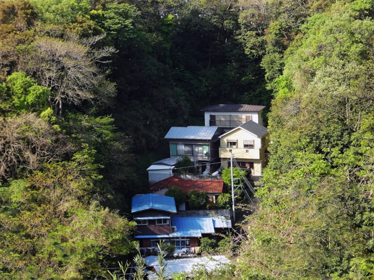 窪地の家、谷間の家