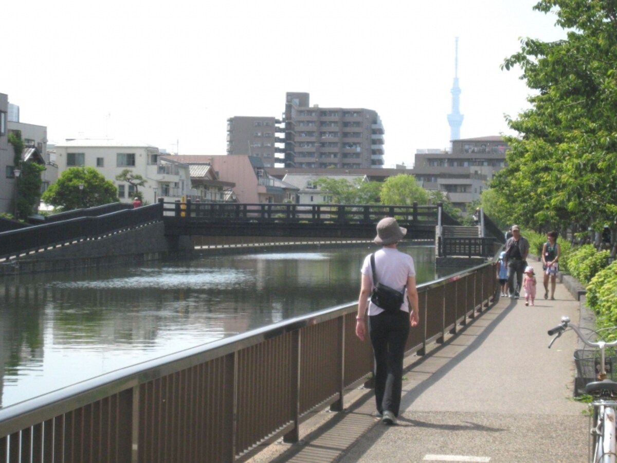 新川沿い