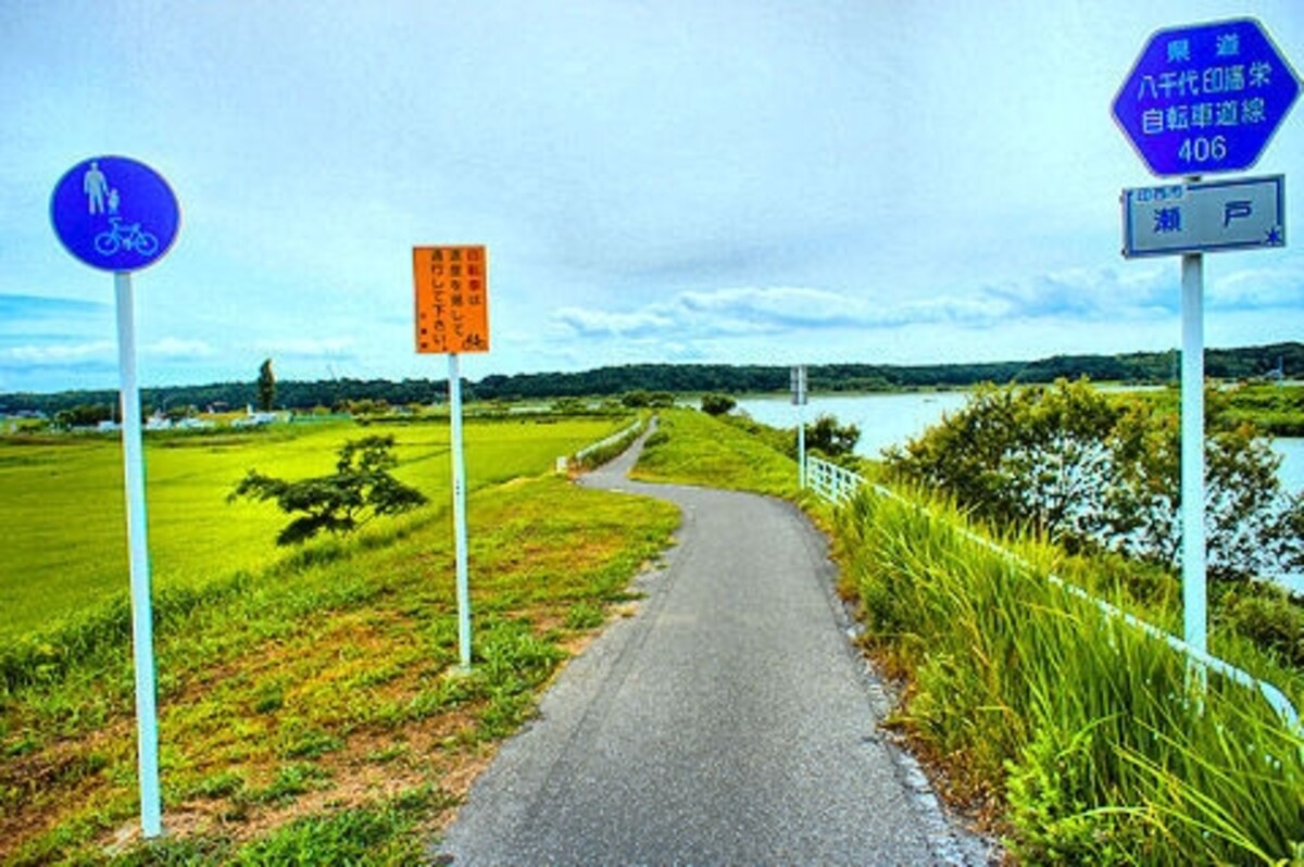 印旛沼サイクリングコース