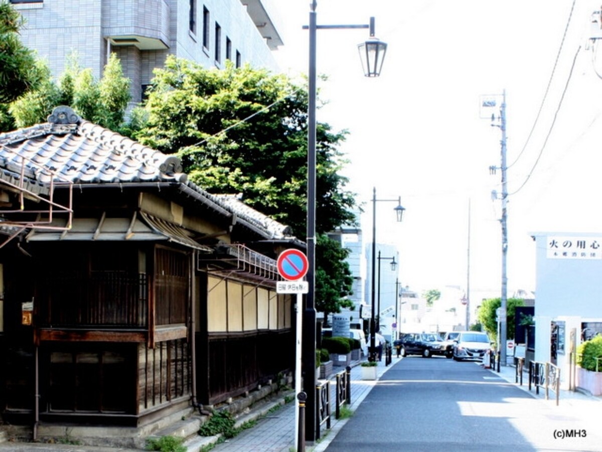 現地（左奥）の斜め向かいに区立図書館（右）