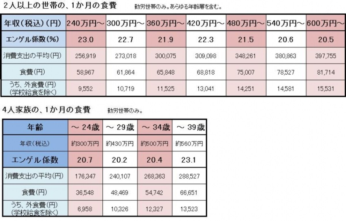 総務省「家計調査」（2009）undefined2人以上の家庭、勤労世帯
