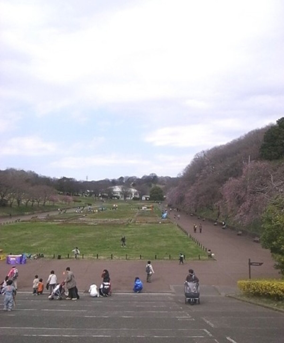 横浜市青葉区「こどもの国」
