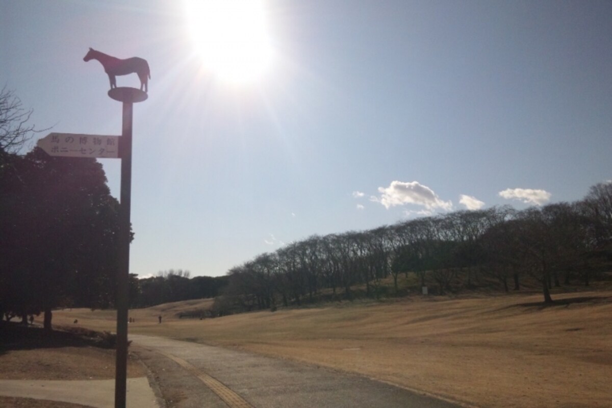 競馬場跡地にできた「根岸森林公園」