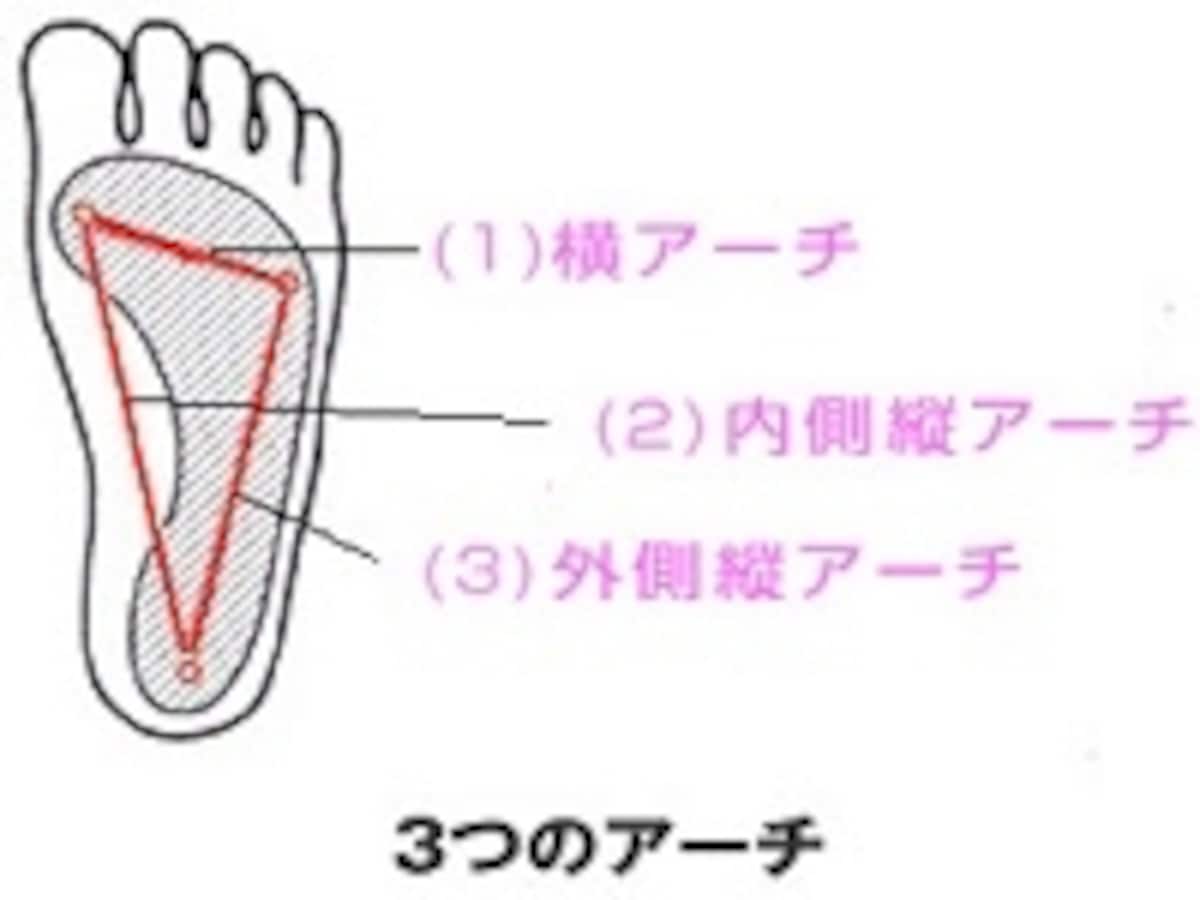 足裏の3本アーチ