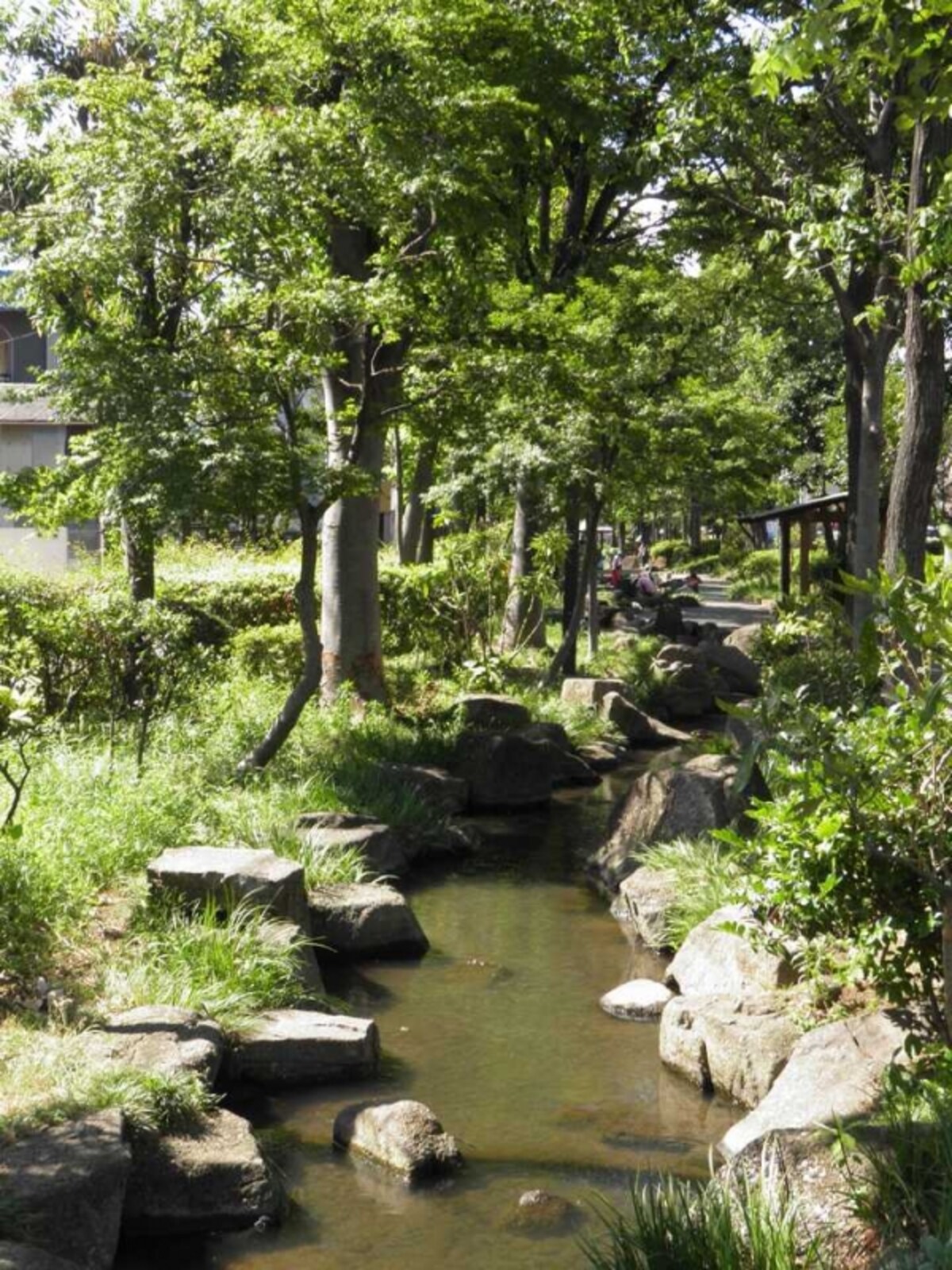 「見沼代親水公園」