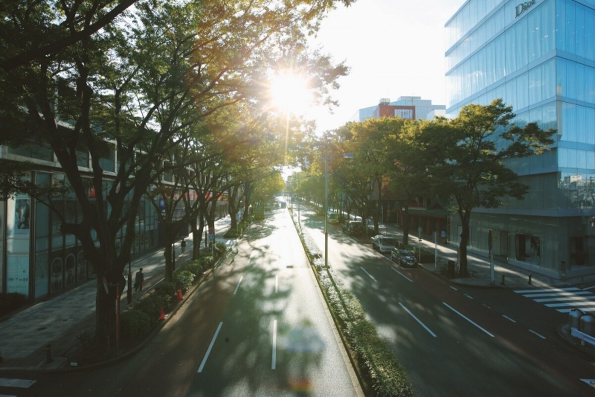 表参道（現地より約570ｍ/2013年4月撮影）