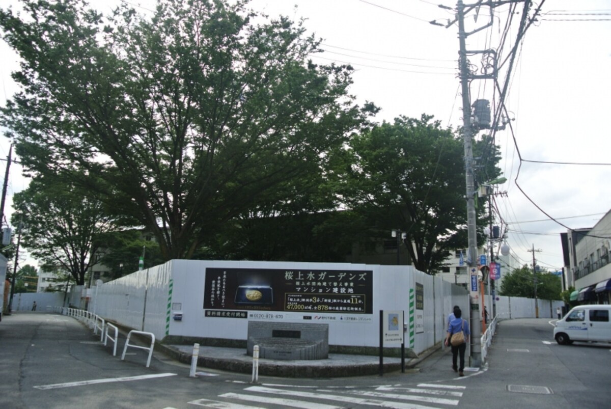 桜上水ガーデンズの現地
