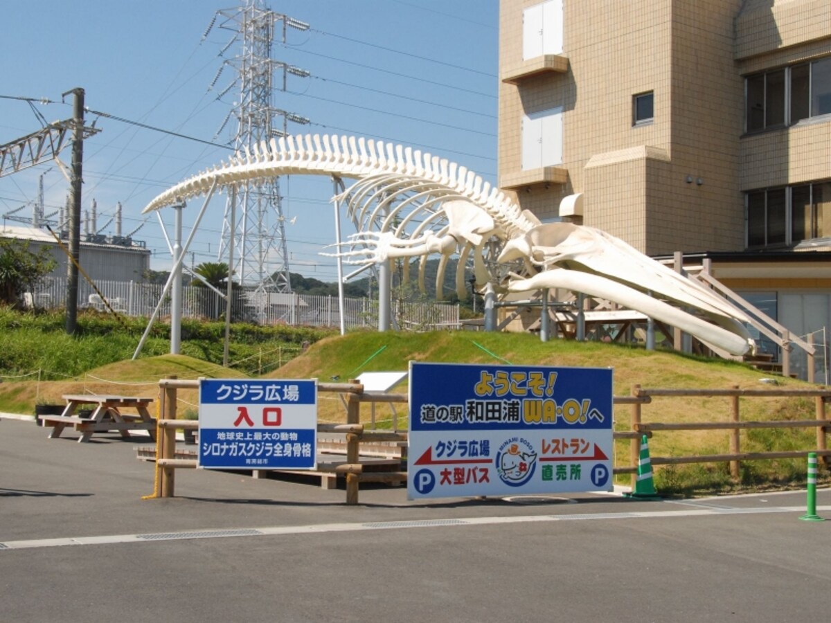 道の駅はJRの駅の裏にあるのに全くつながっていない