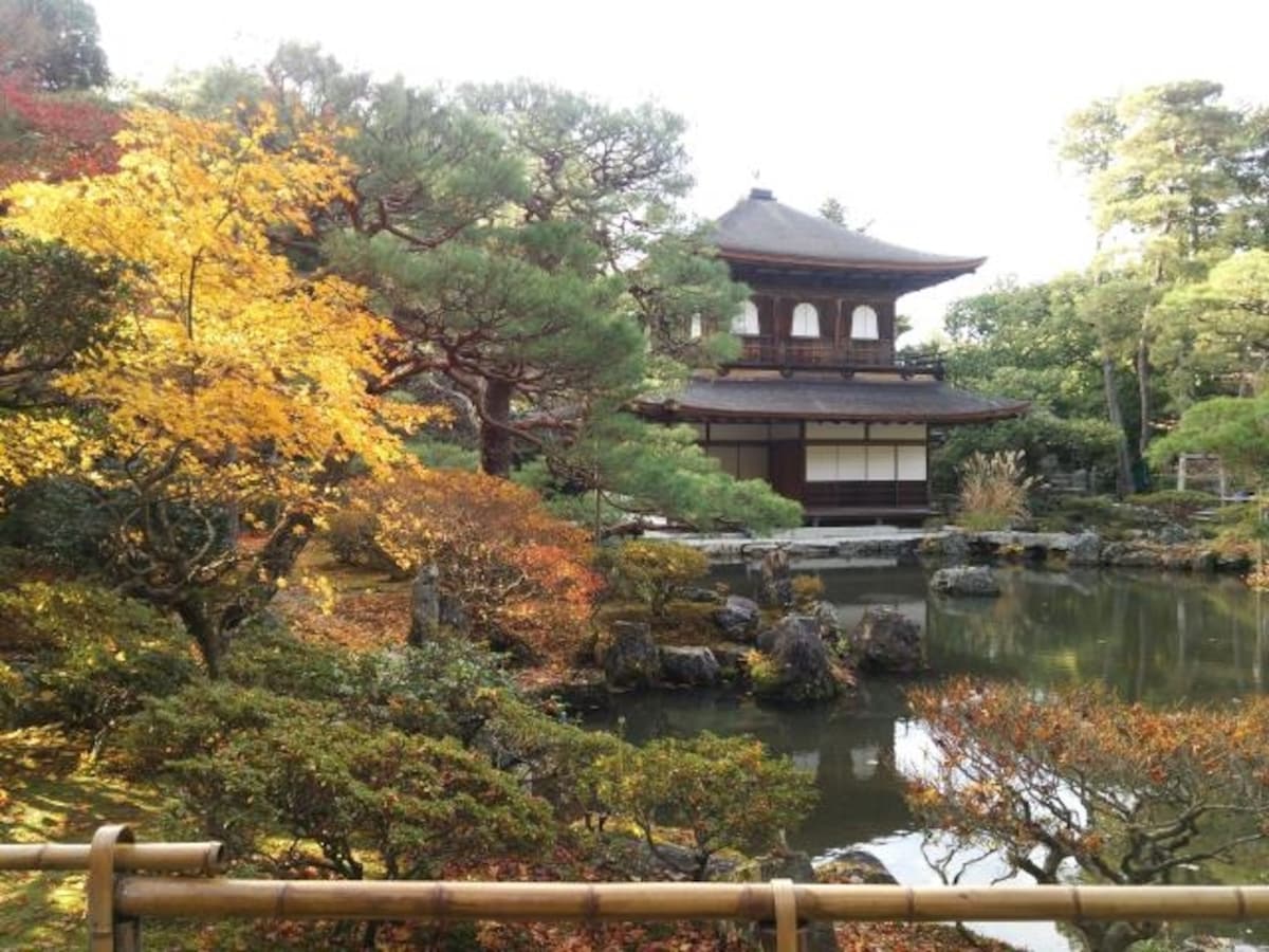 銀閣寺の紅葉