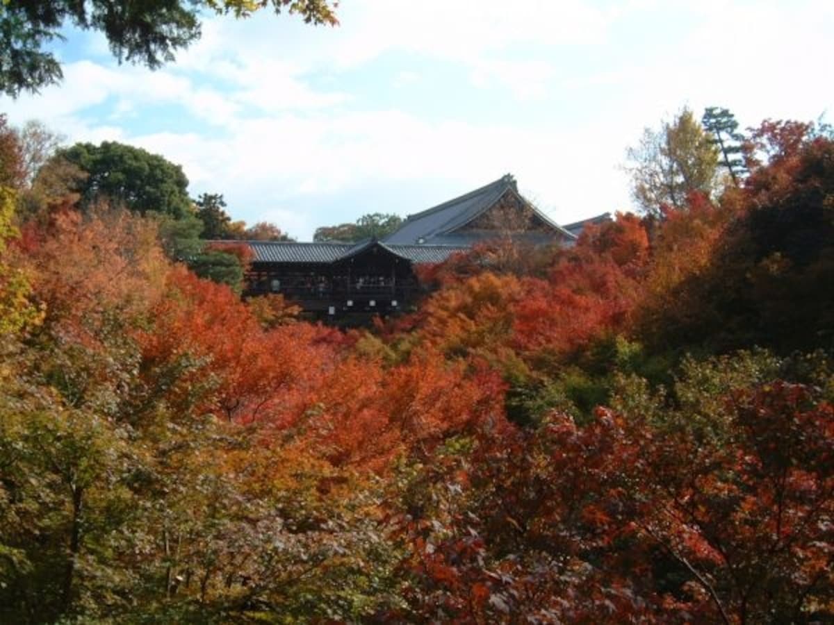 東福寺の紅葉