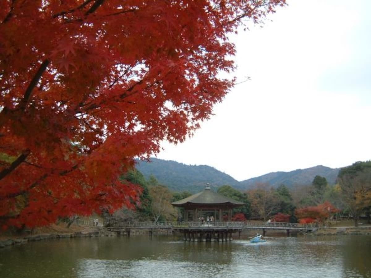 浮御堂の紅葉