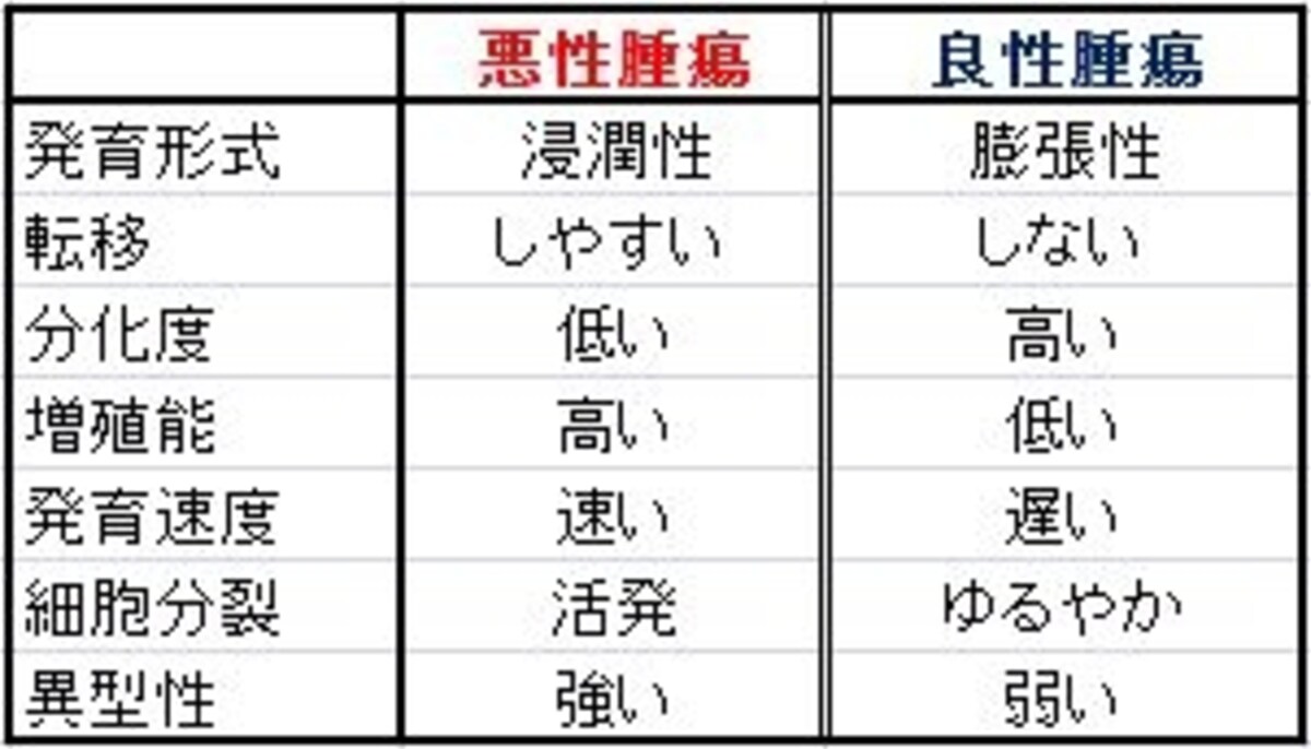 良性腫瘍と悪性腫瘍