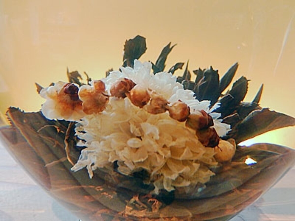 梅の花