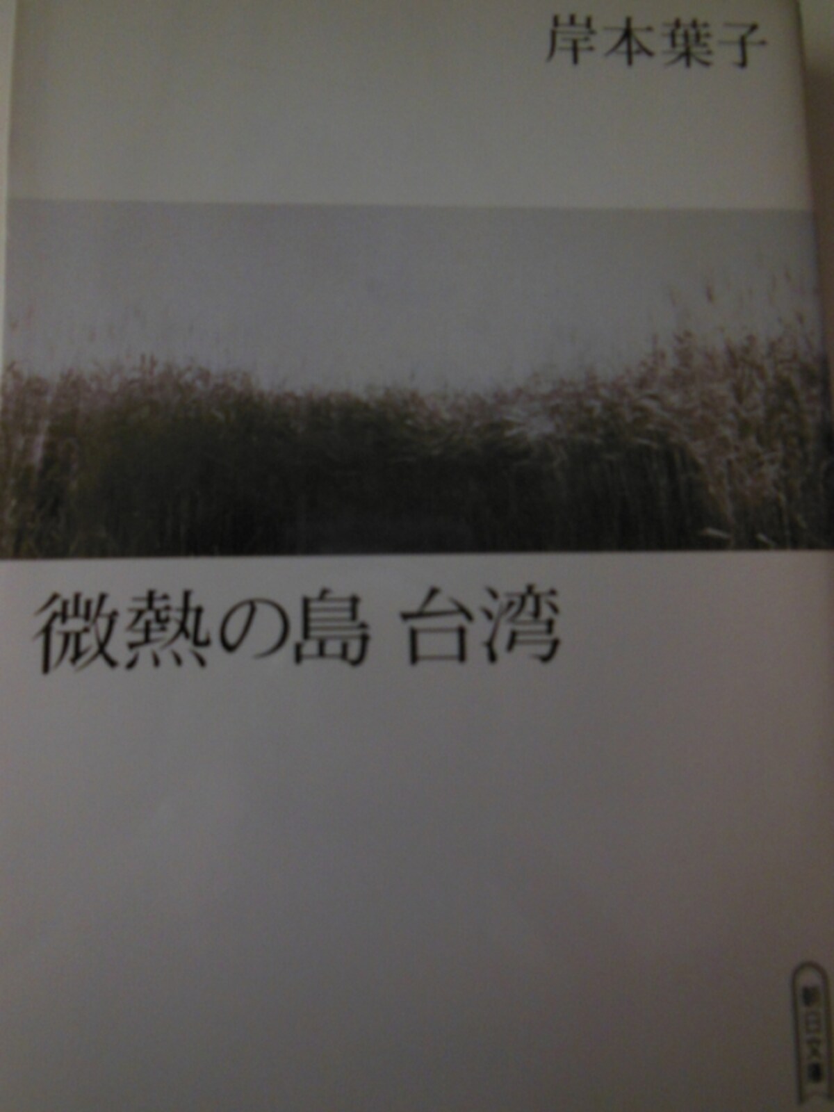 「微熱の島 台湾」