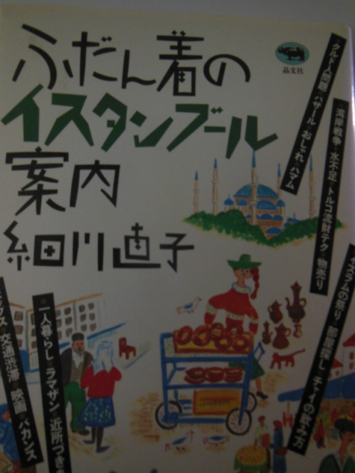 『ふだん着のイスタンブール案内』