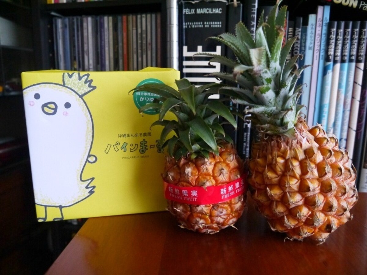 「パインまーる」