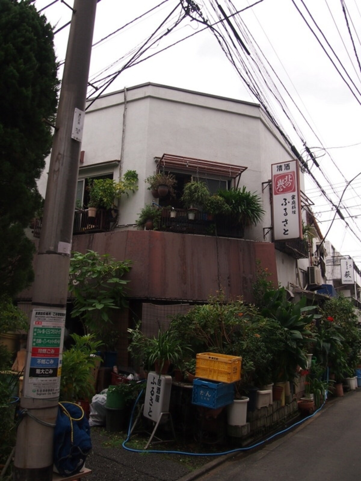 行ってみることにした。