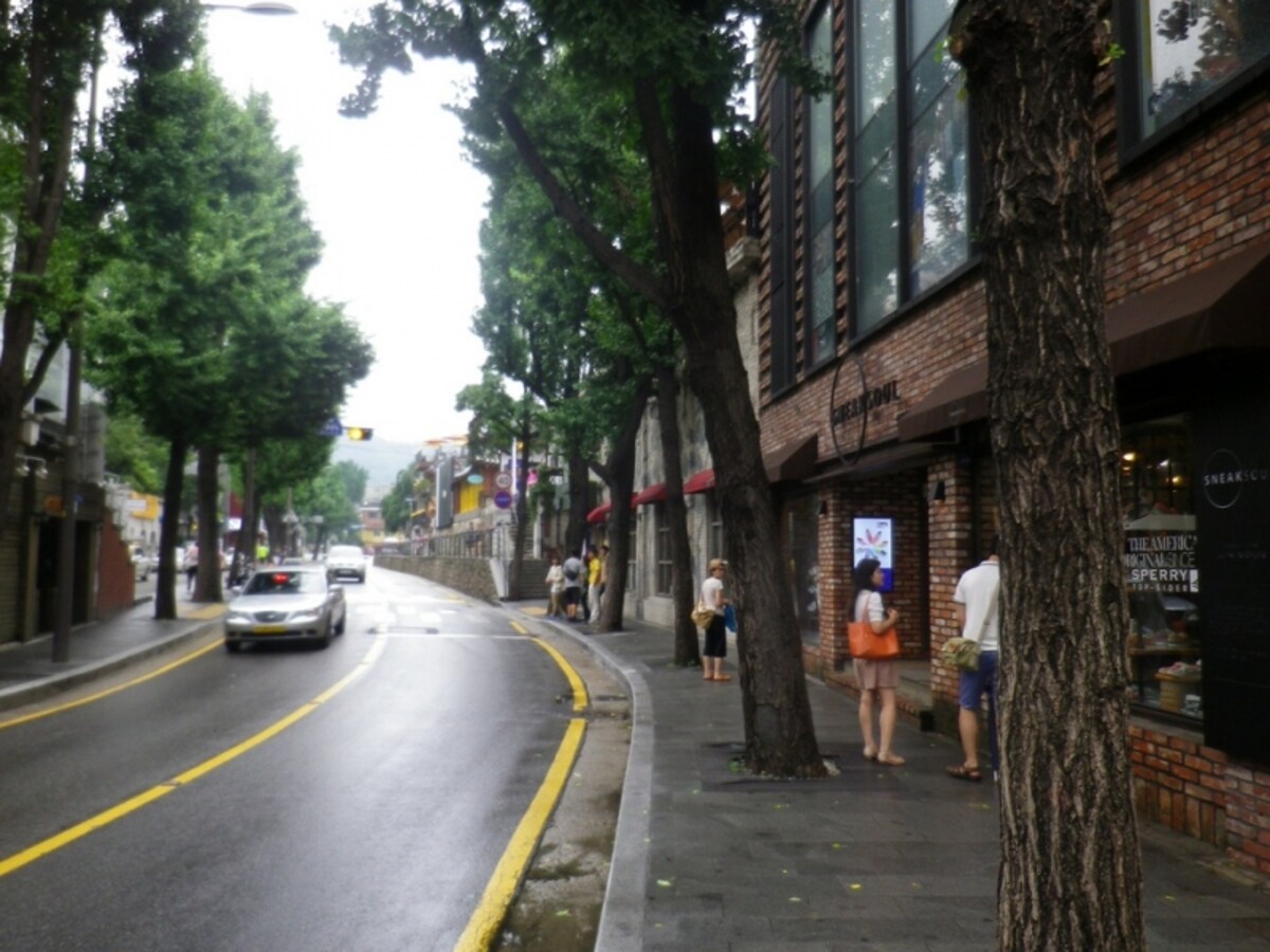 「街路樹通り」