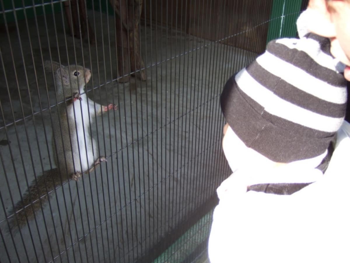 名古屋『東山動植物園』