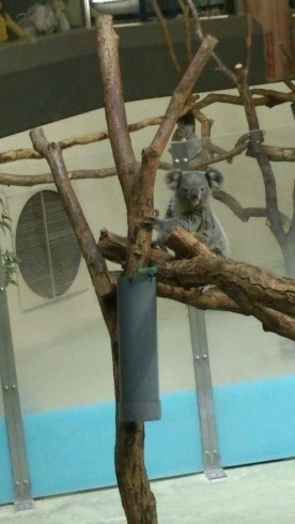 多摩動物公園
