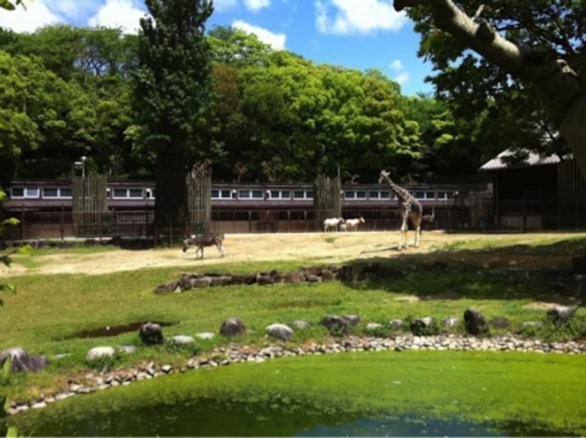 愛媛県「とべ動物園」
