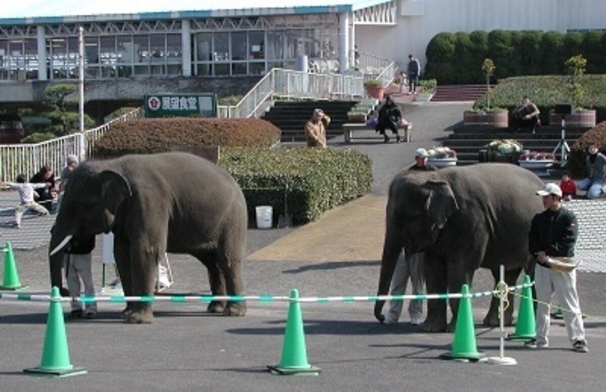 『フェニックス自然動物園』