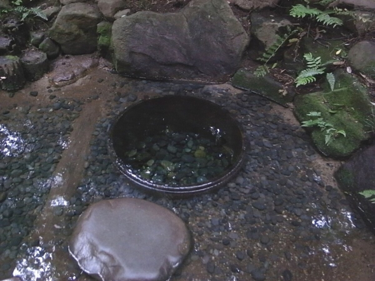 明治神宮「清正井」