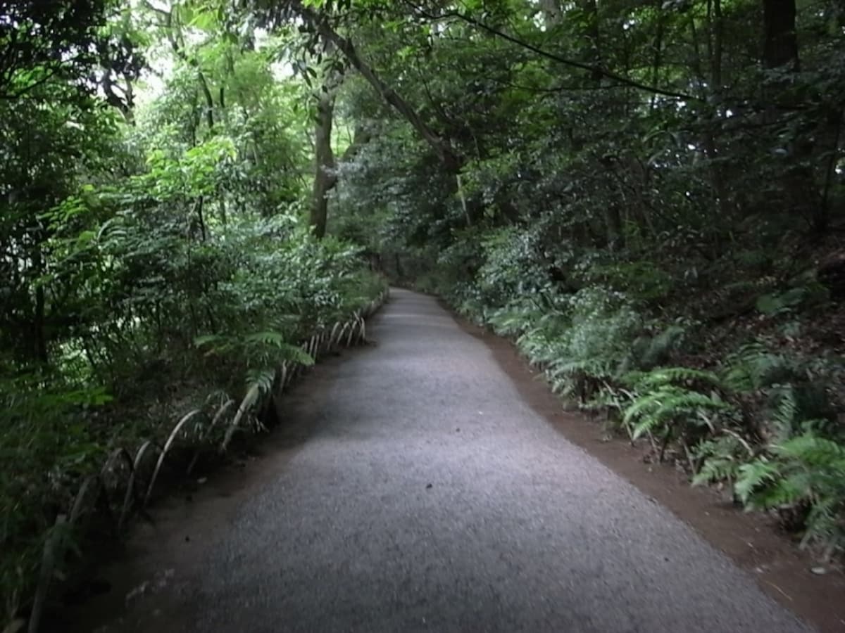 明治神宮「清正井」