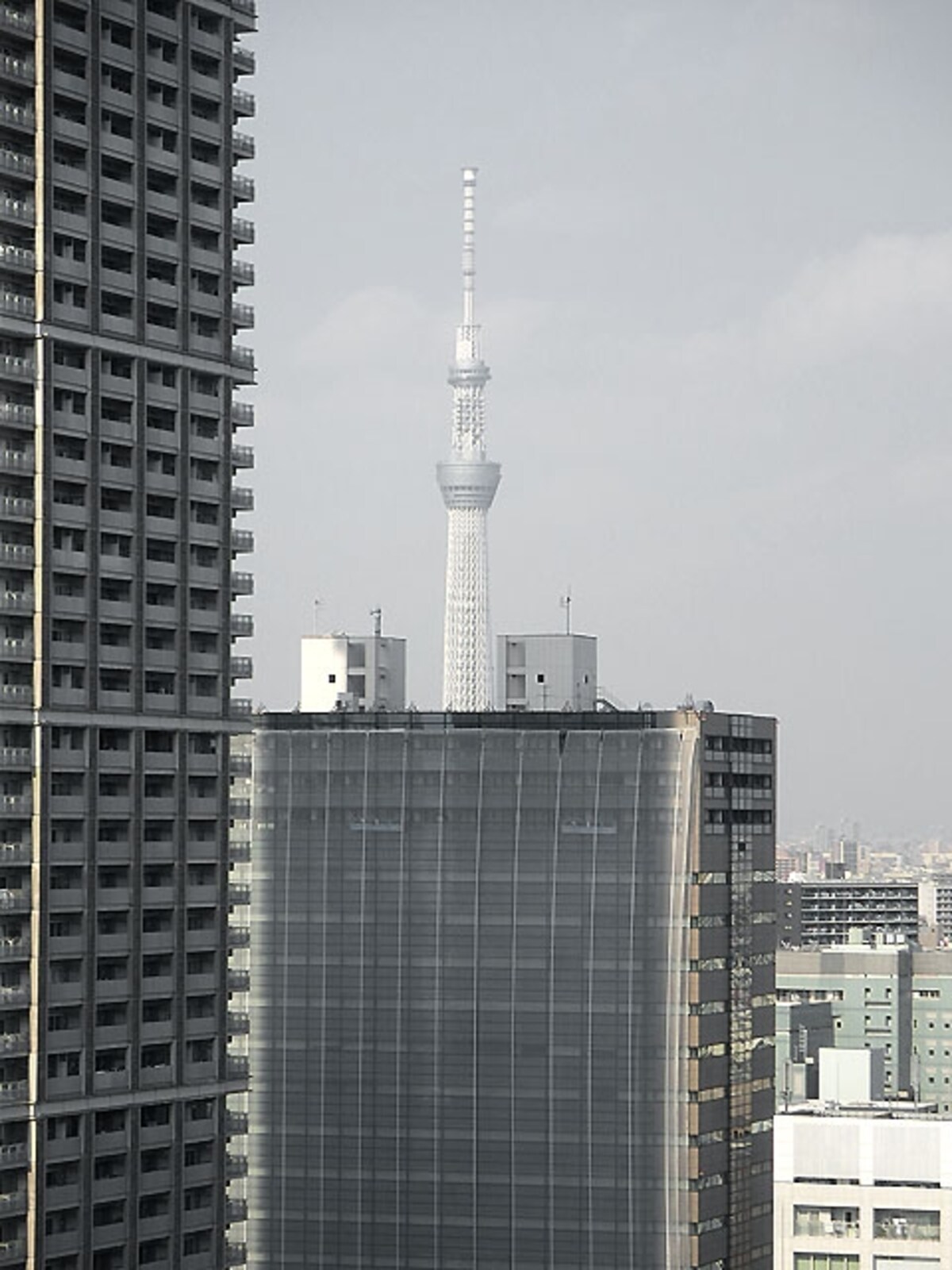 景色 スカイツリー