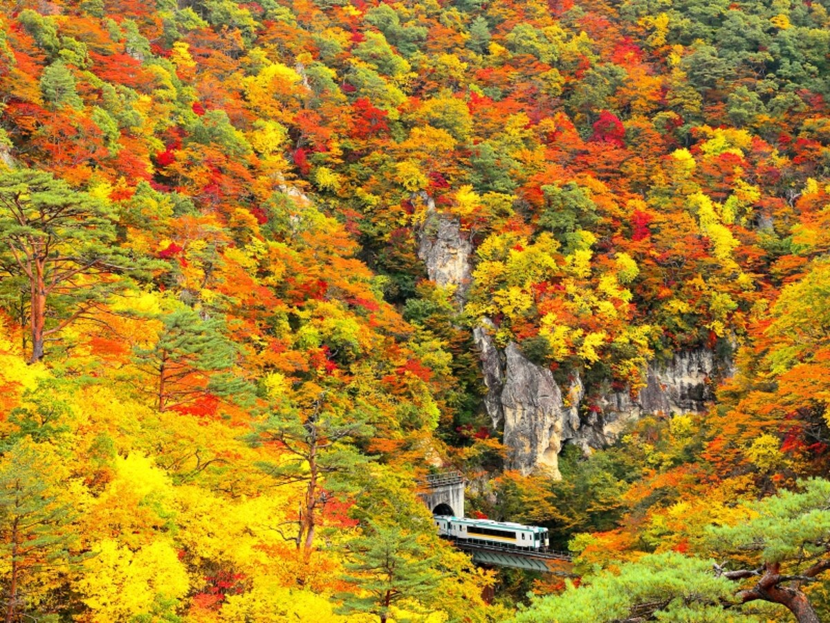 紅葉の鳴子峡