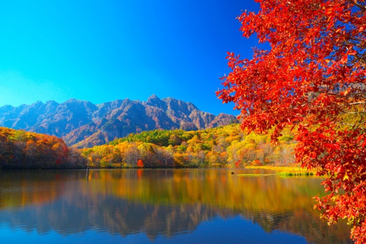 紅葉の鏡池