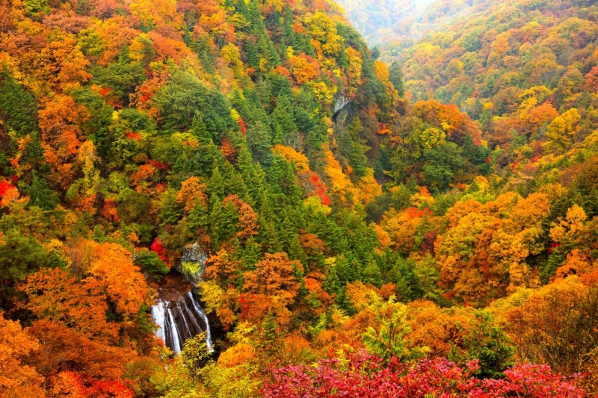 蓼科横谷渓谷王滝の紅葉