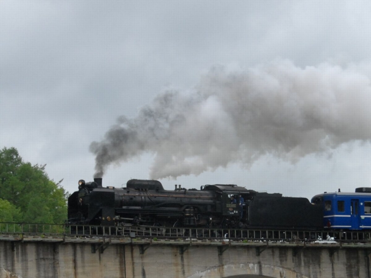 D51