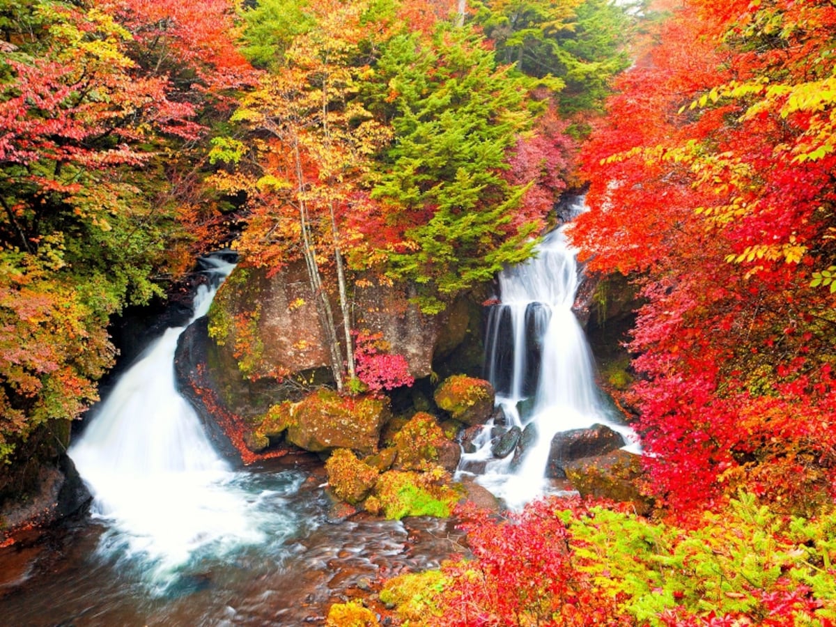 竜頭の滝の紅葉