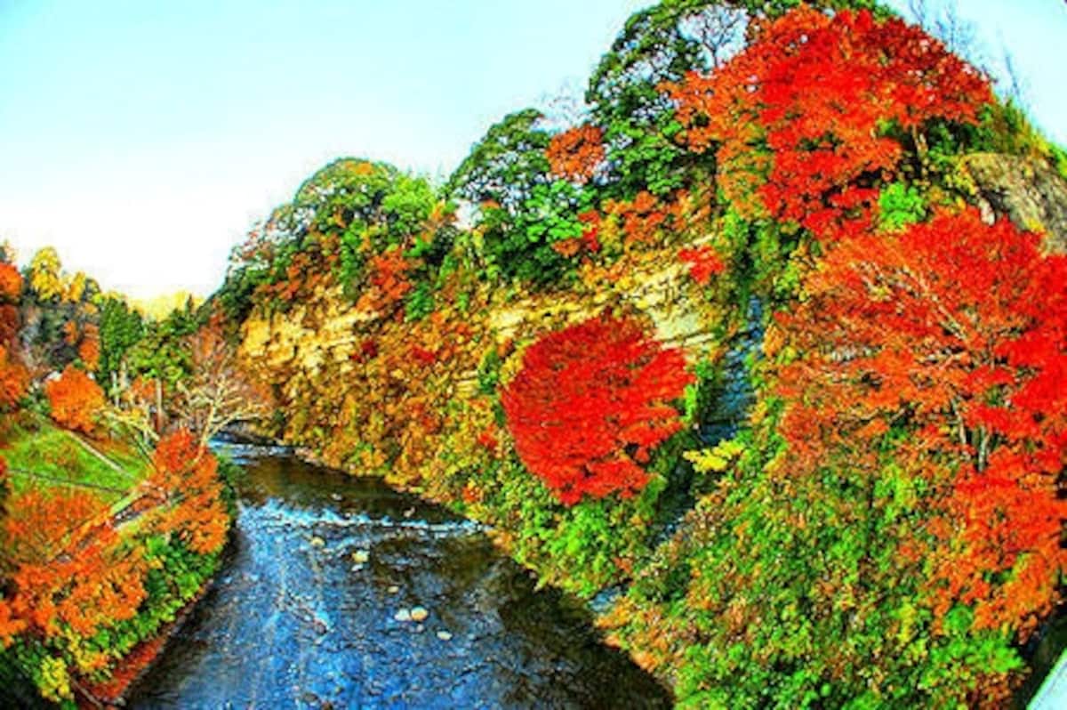 紅葉の養老渓谷懸崖境