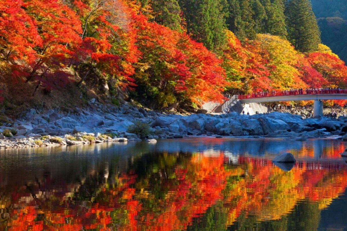 香嵐渓の紅葉