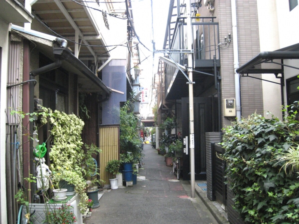 路地
