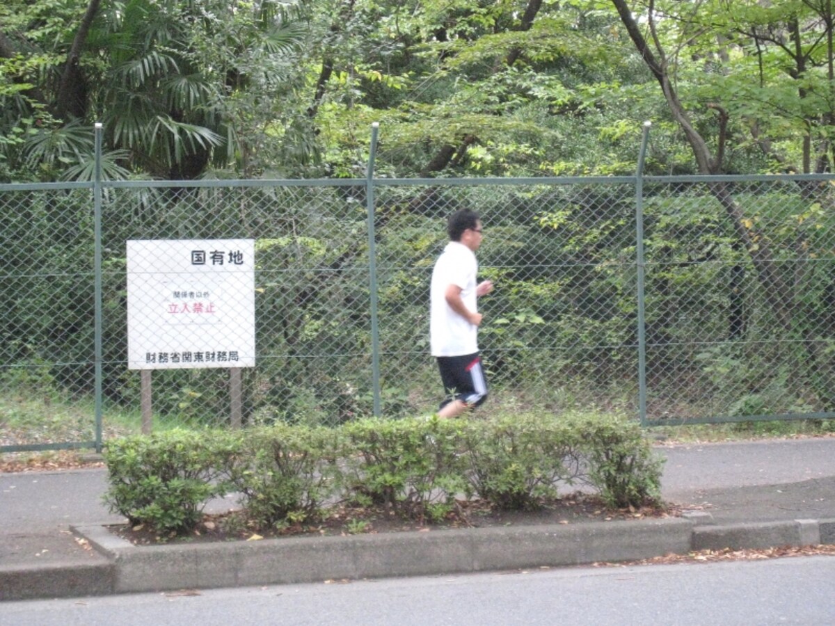 国有地