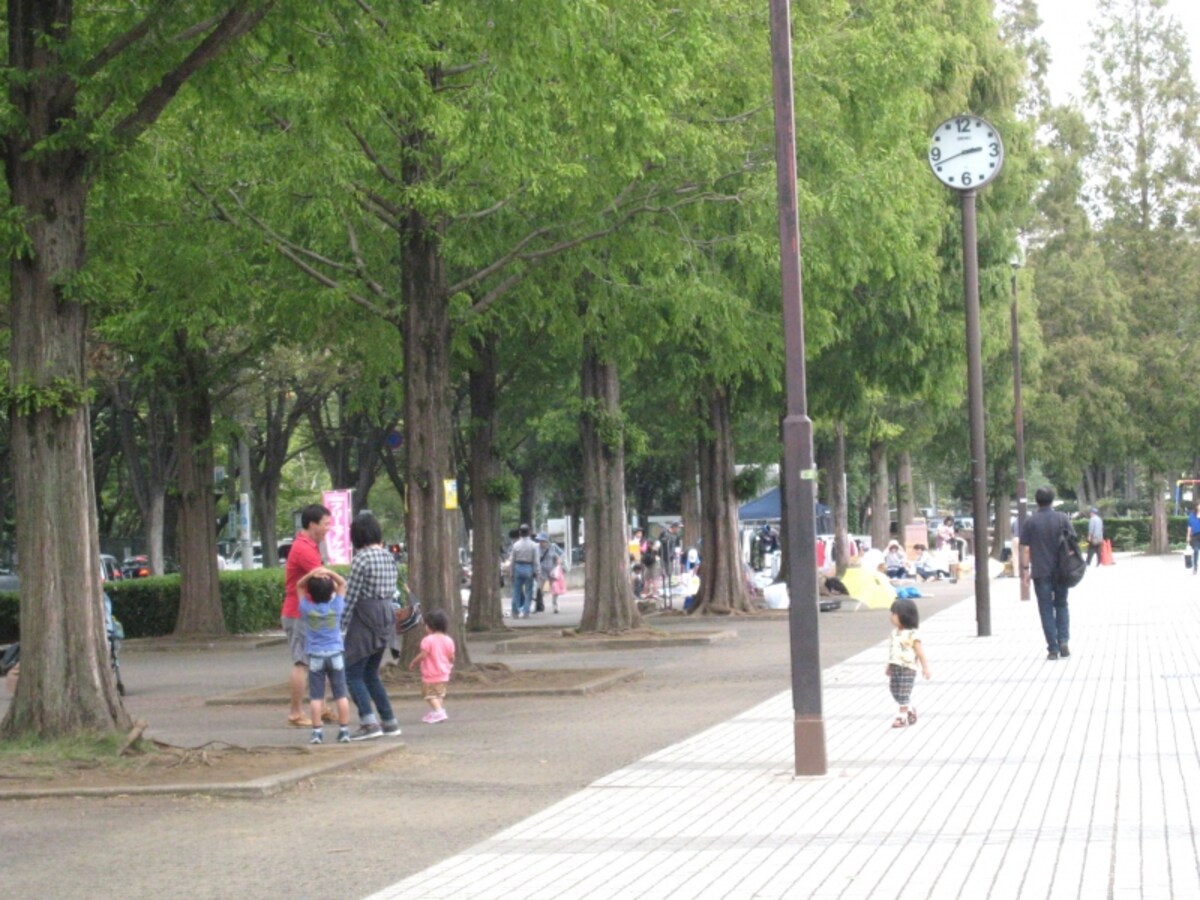 公園近く