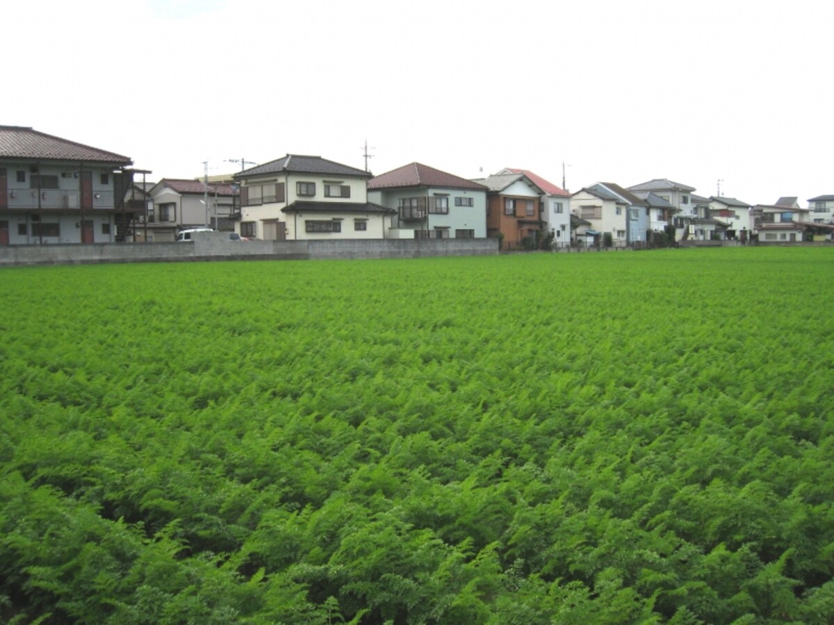畑と住宅