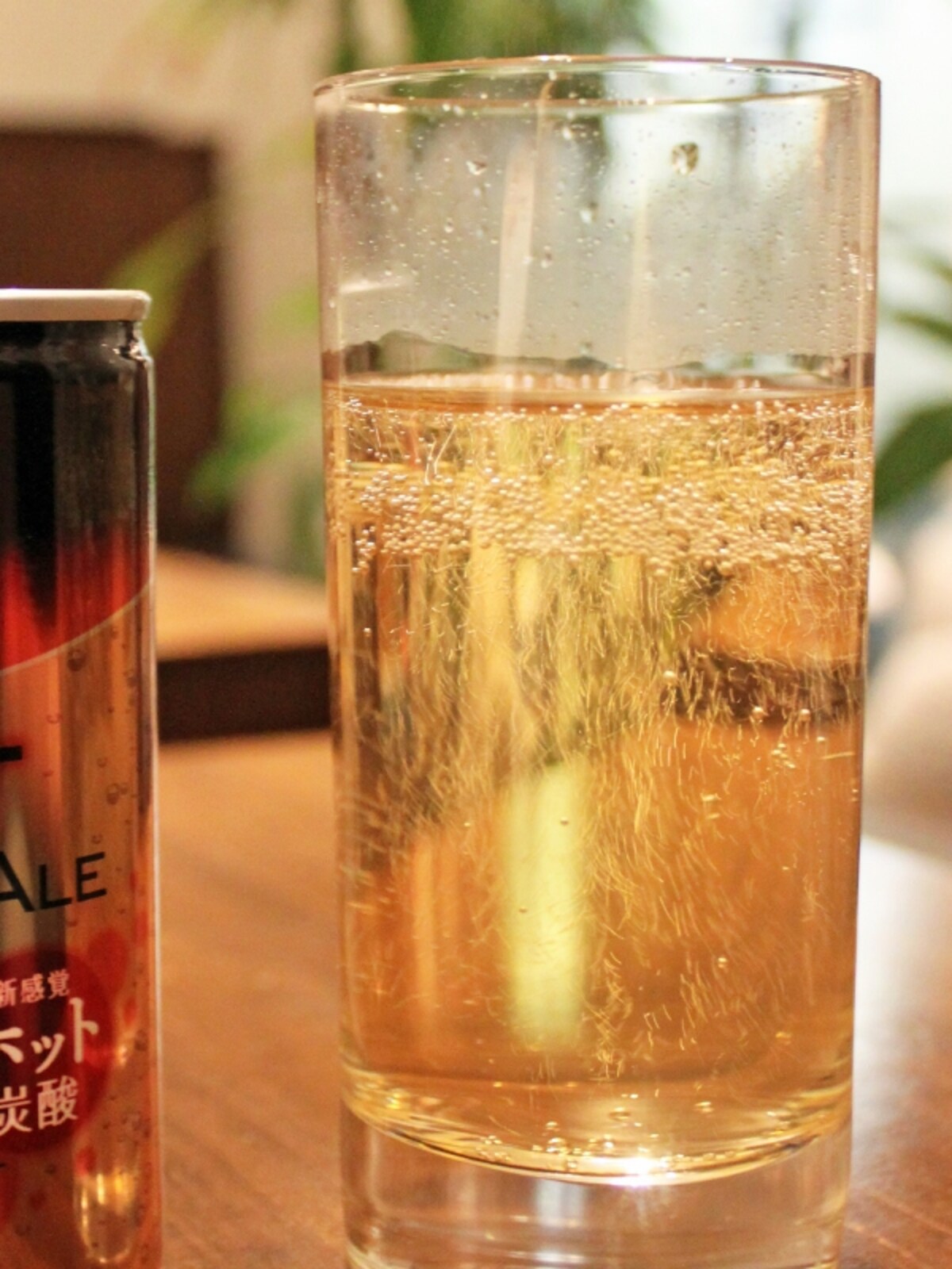 ホット炭酸