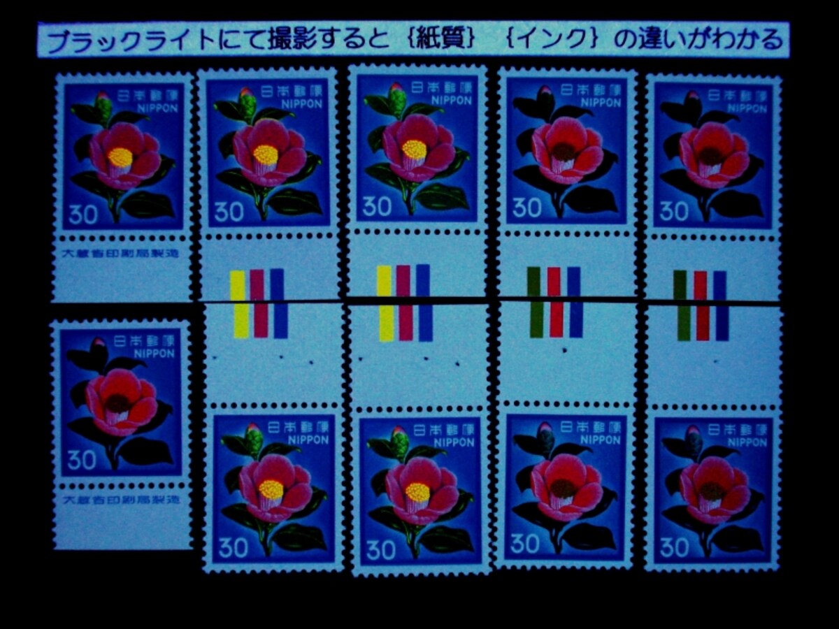 ツバキ30円