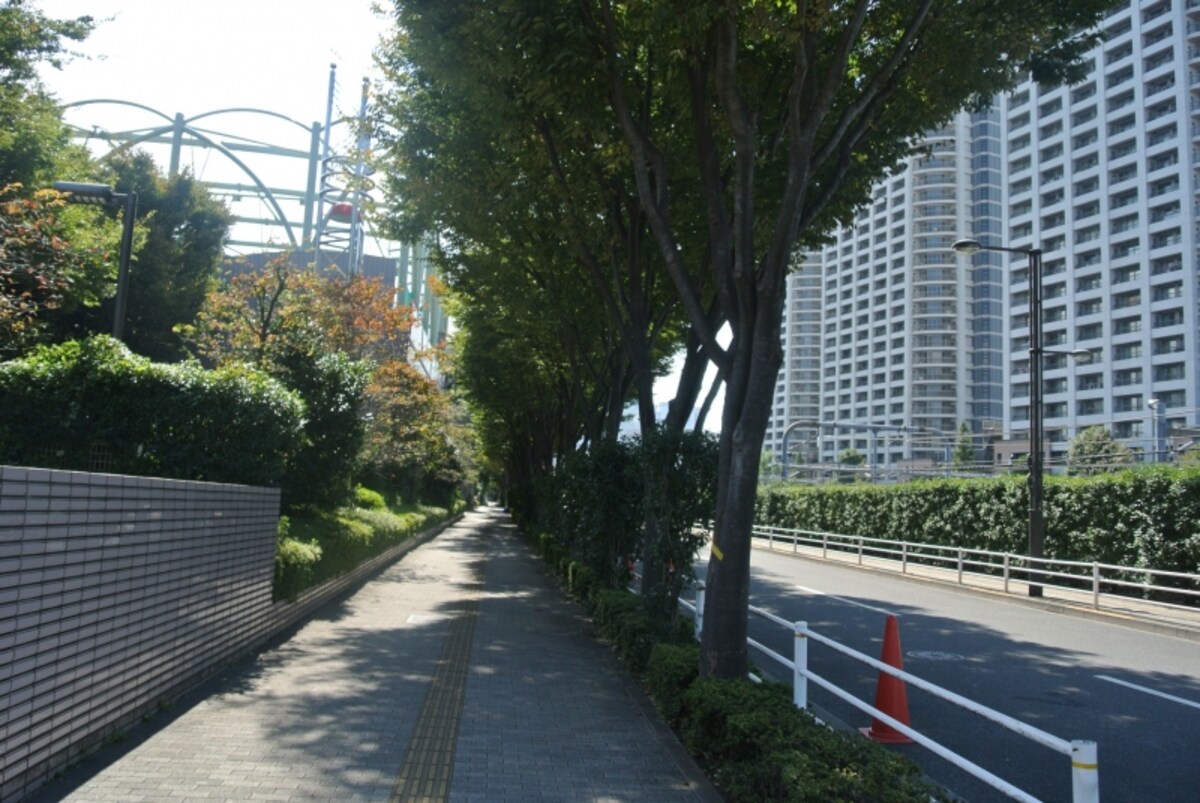 「新宿スカイフォレスト」の西側の街路