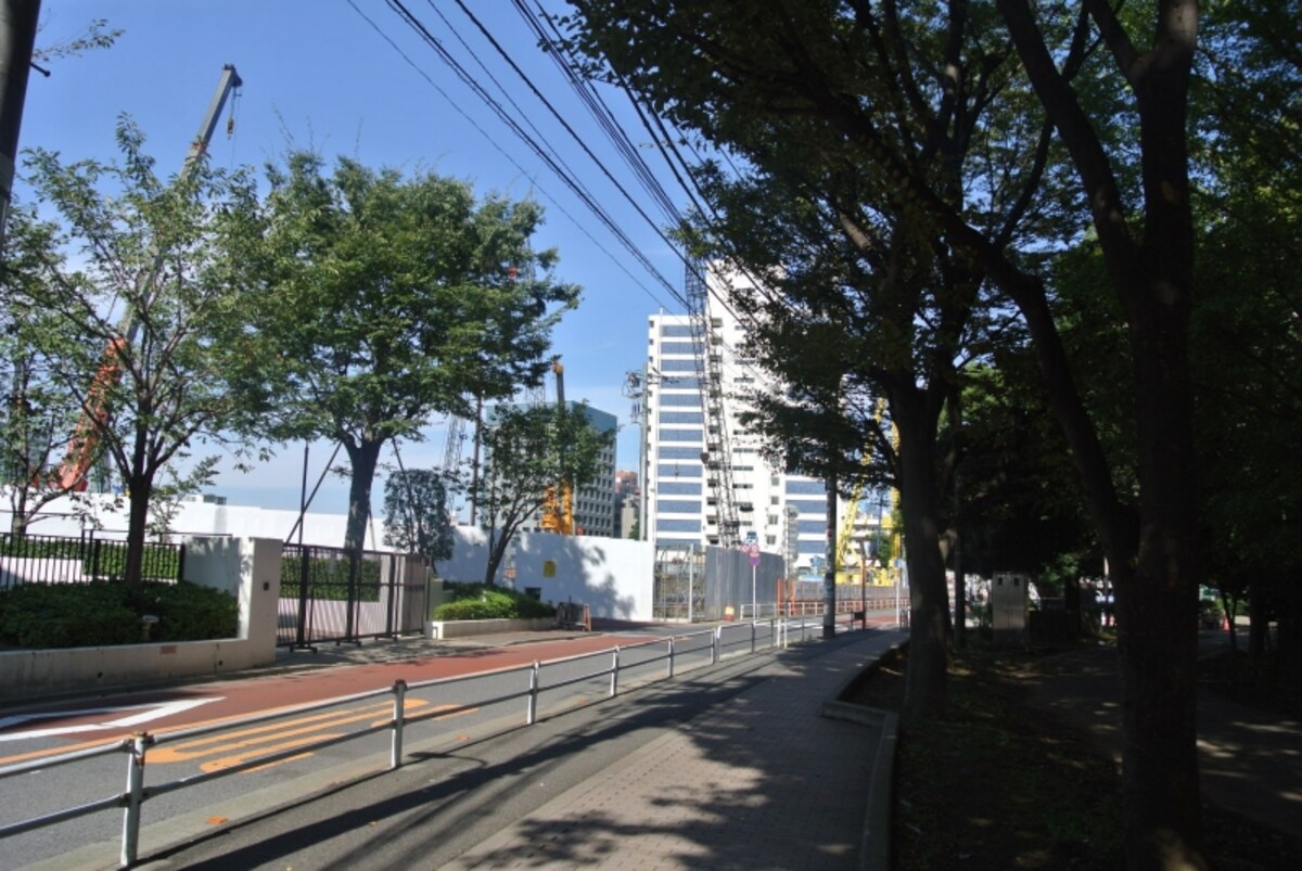 戸山公園側から見た現地
