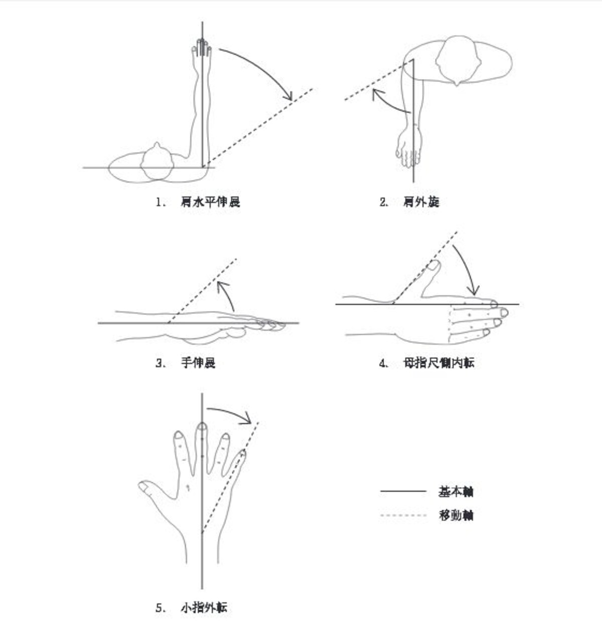 理学療法士　国家試験　ROM