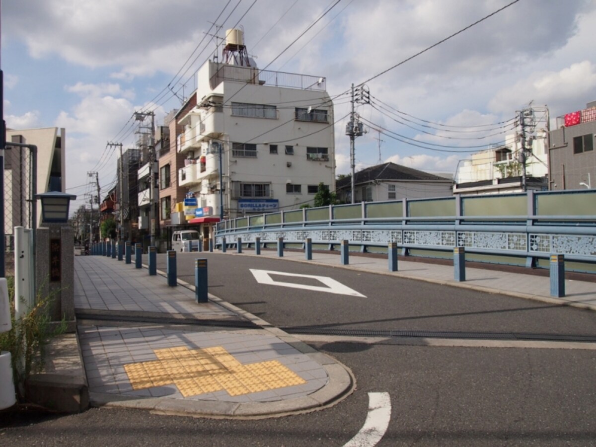 ソメイヨシノが生まれたのはこのあたり