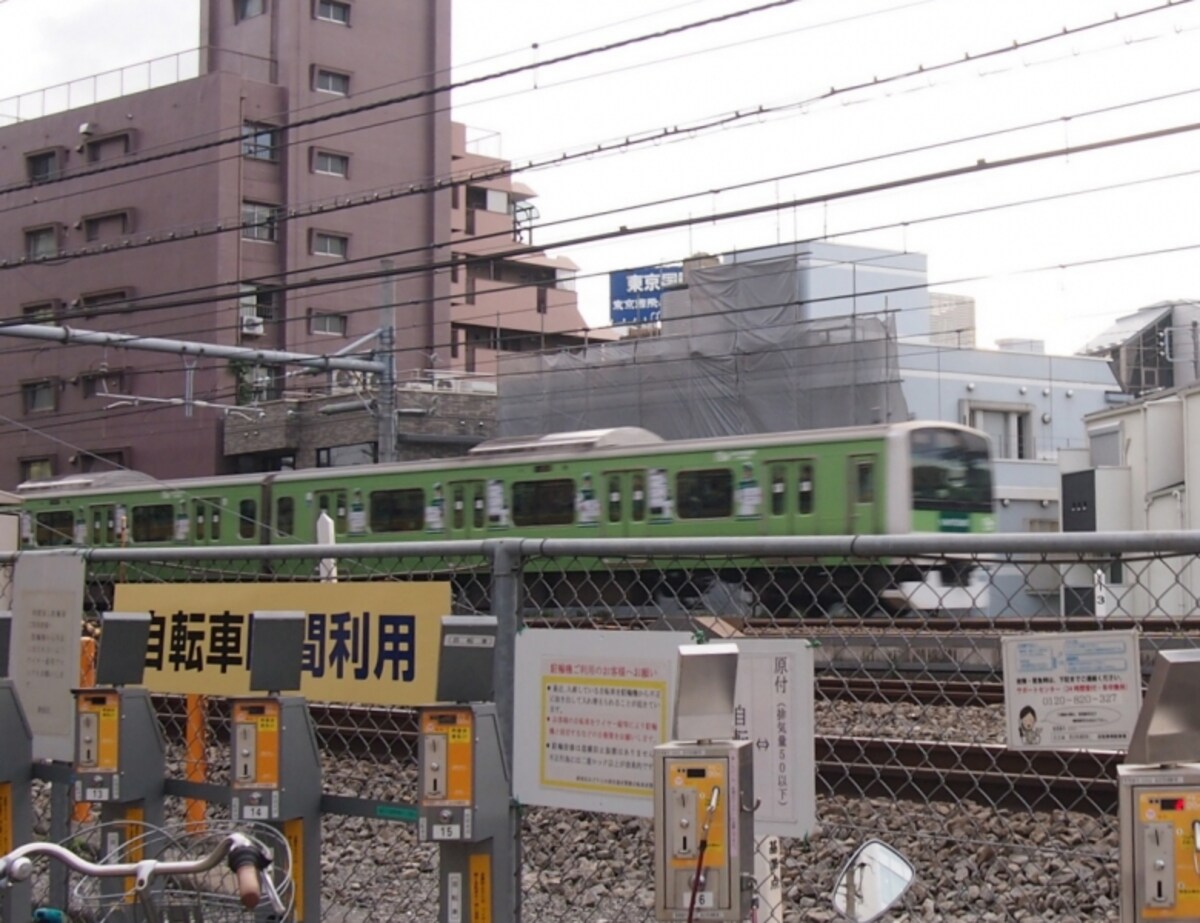 あわててカメラを向けたので、ブレ気味。