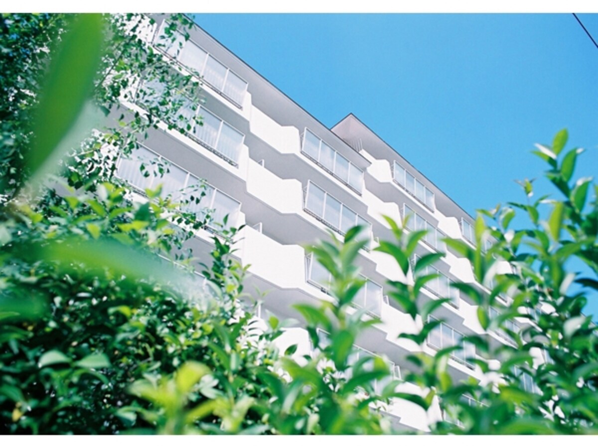 tola_003