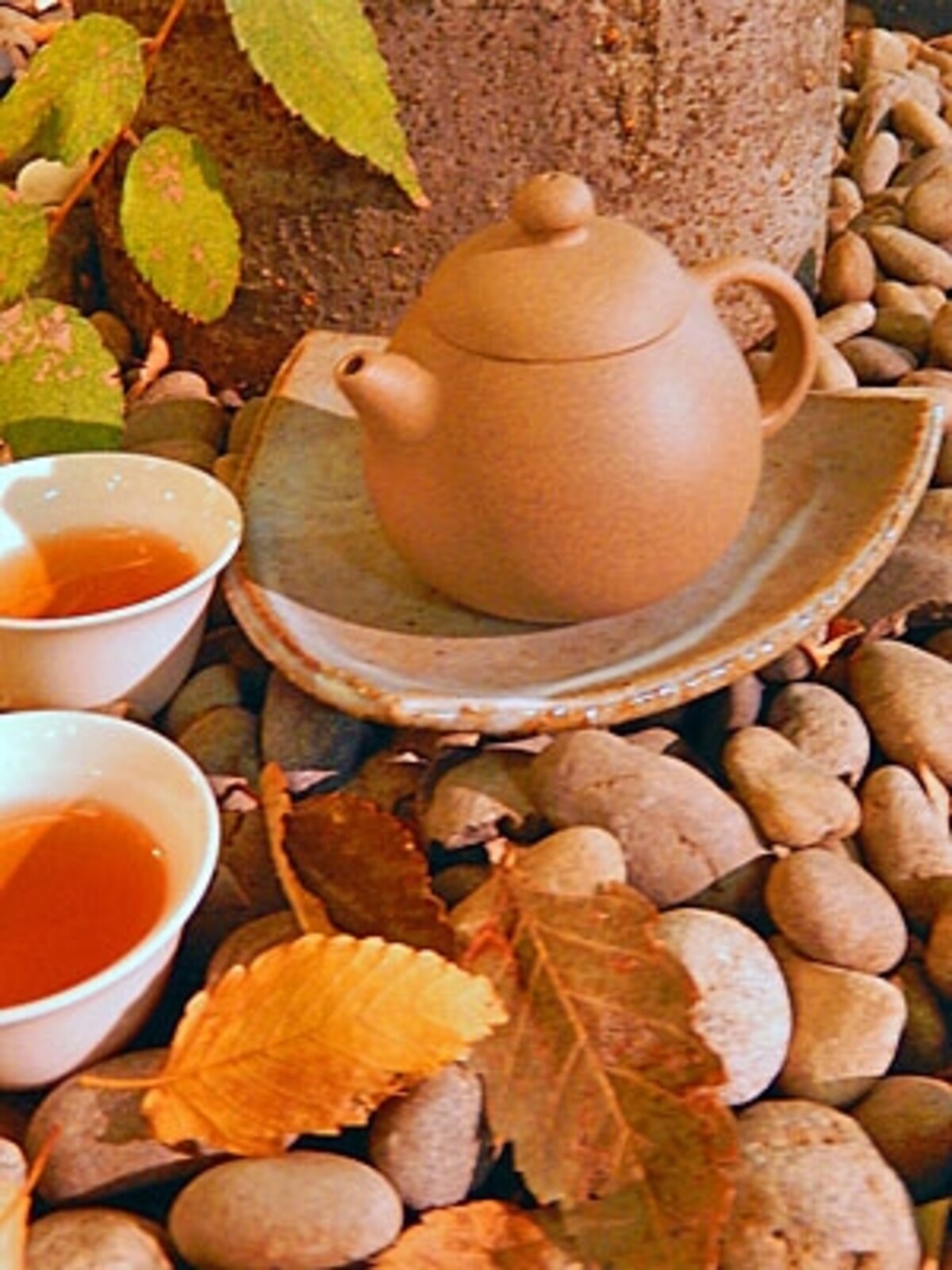 公園でお茶